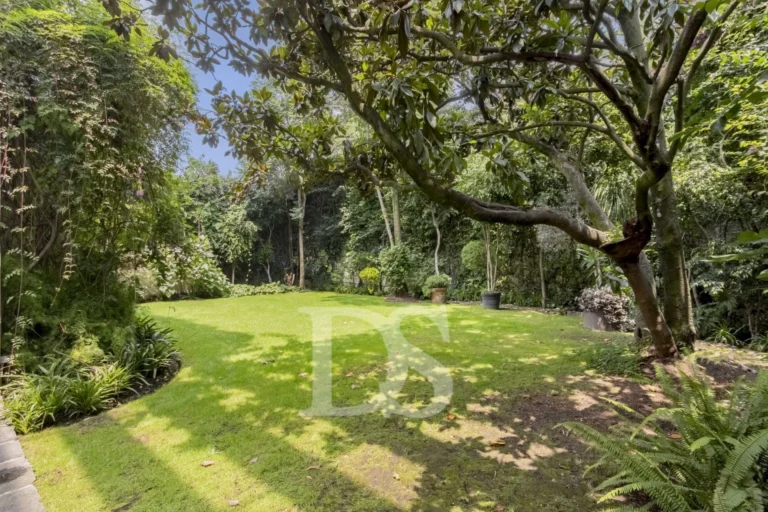 Jardín privado de casa en San Ángel Inn