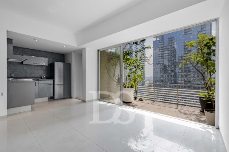 Estancia con cocina y terraza en Parques Polanco